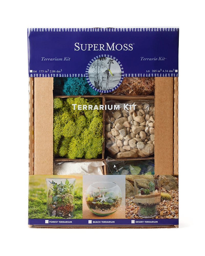 Terrarium DIY Kit