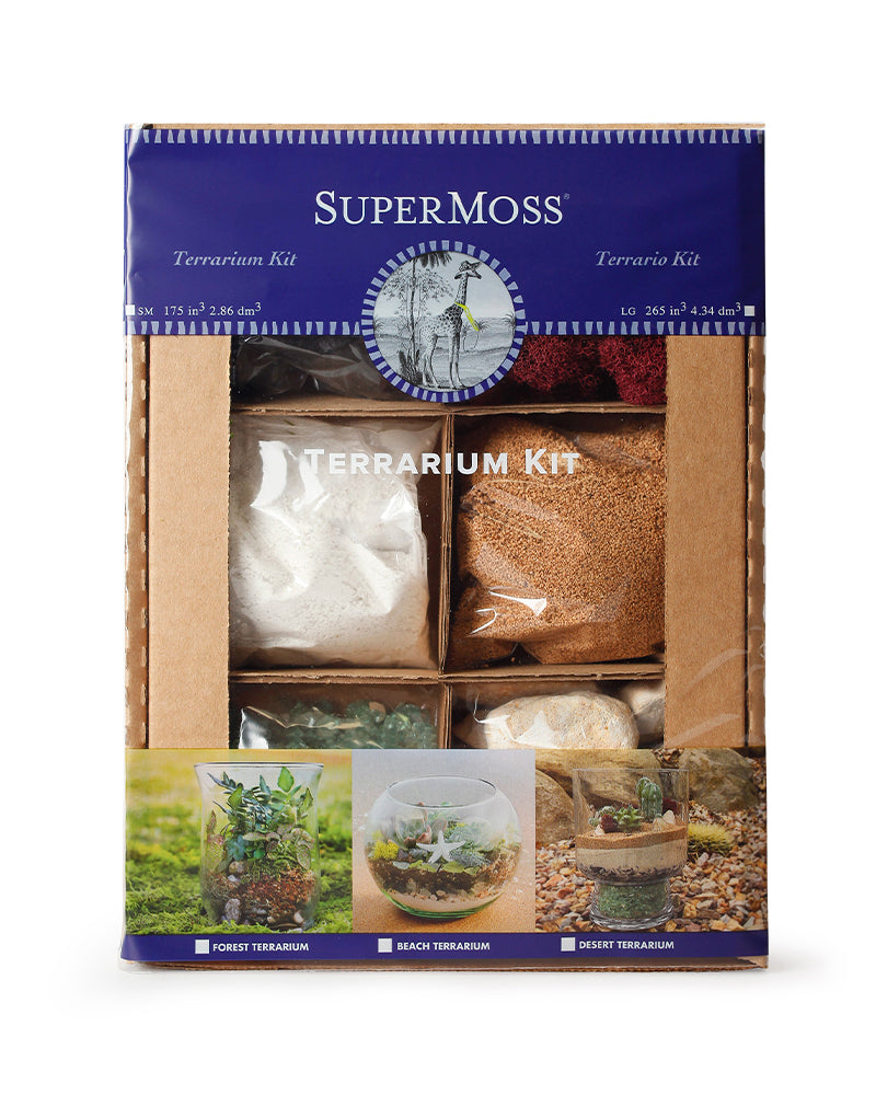 Terrarium DIY Kit