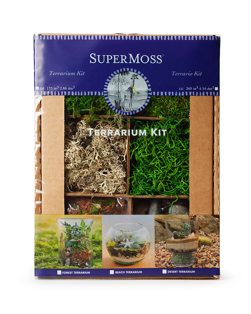 Terrarium DIY Kit