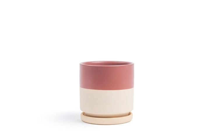 Cylinder Pot with Saucer