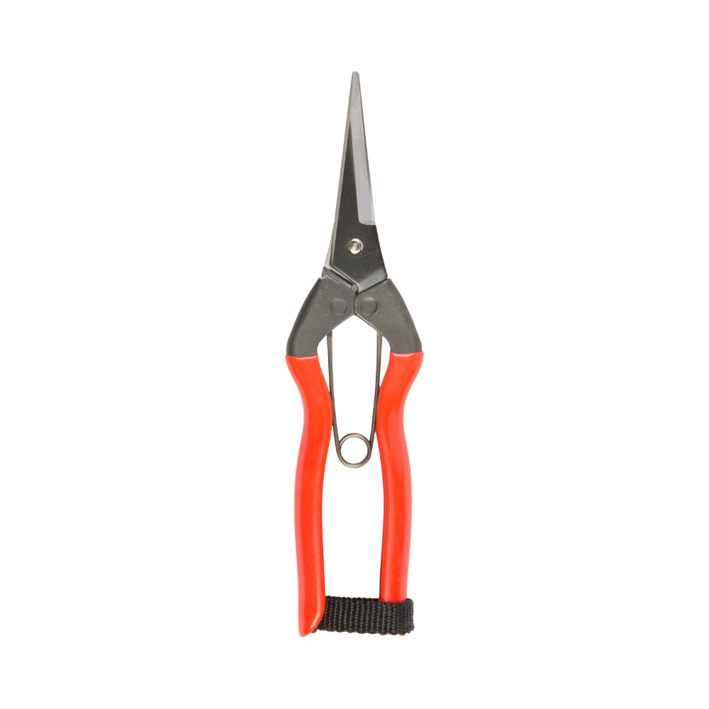 Niwaki Garden Snips