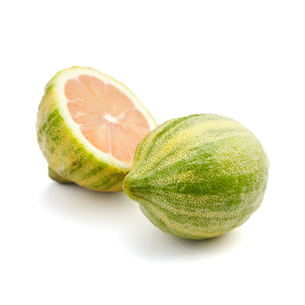 Citrus – Variegated Pink Lemon