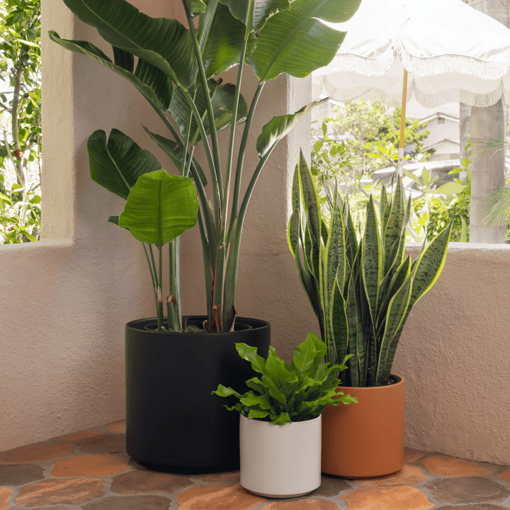 Solid Goods 15 Inch Ceramic Cylinder Planter