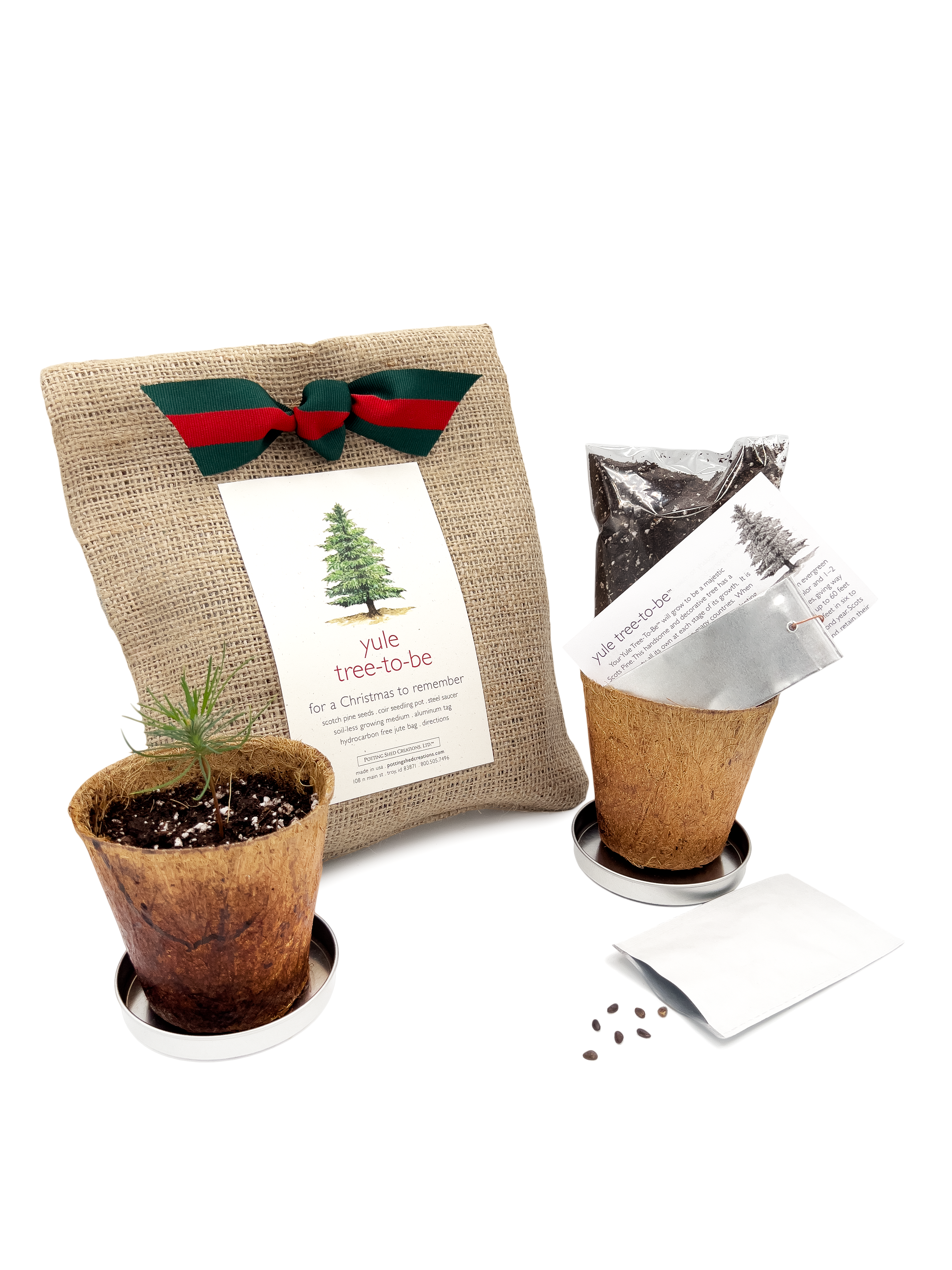 Christmas Tree to Be Grow Kit