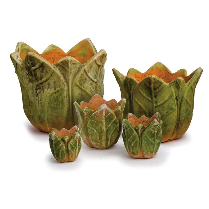 Mossy Terra Cotta Pot – Clematis