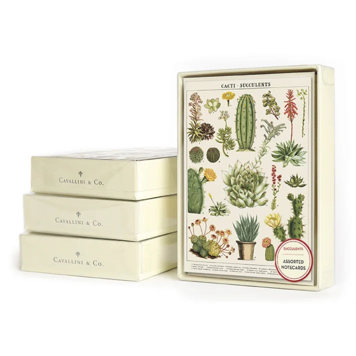 Cavallini Boxed Notecards