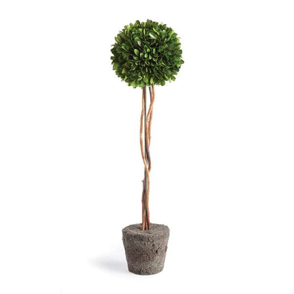 The Old Yew Plant Shop Preserved Boxwood Topiary