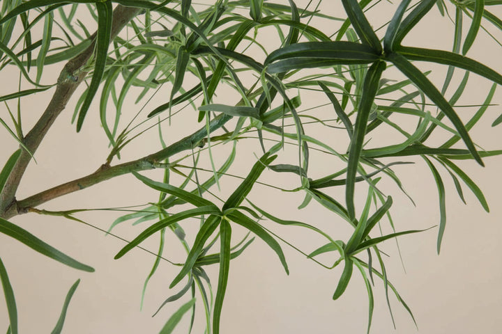 Australian Bottle Tree (Faux)