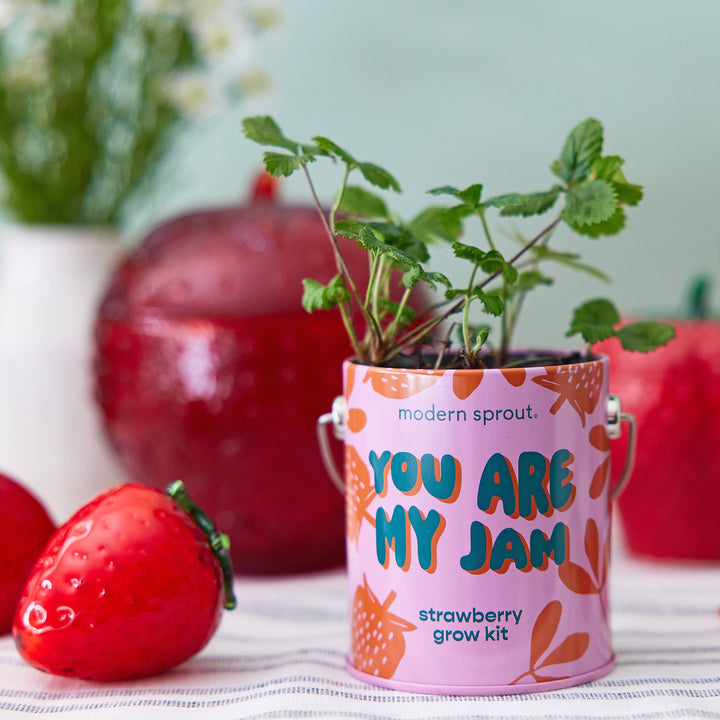 Complimentary Color Grow Kits