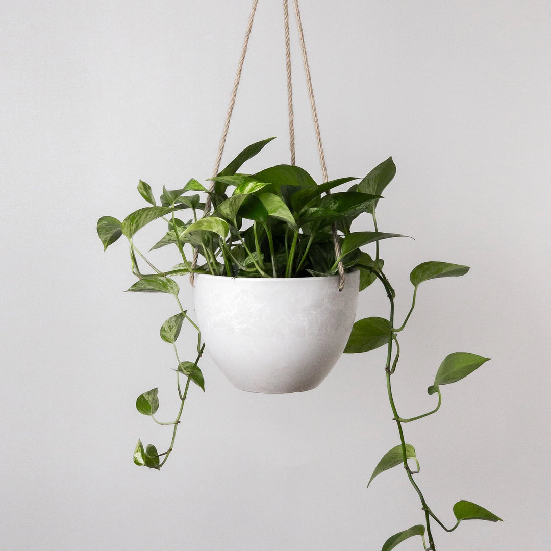 hanging pots for plants indoor Plastic Hanging Planter Kanso Designs Color: Gray