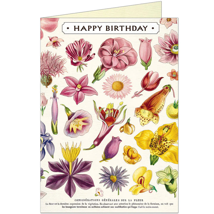 Cavallini Greeting Card