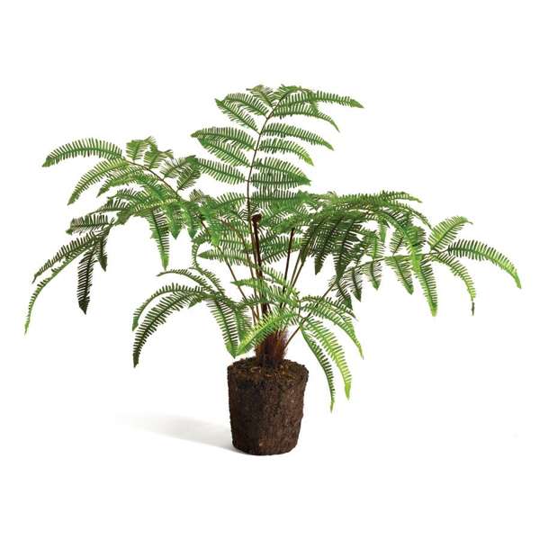 The Old Yew Plant Shop Faux Forest Fern