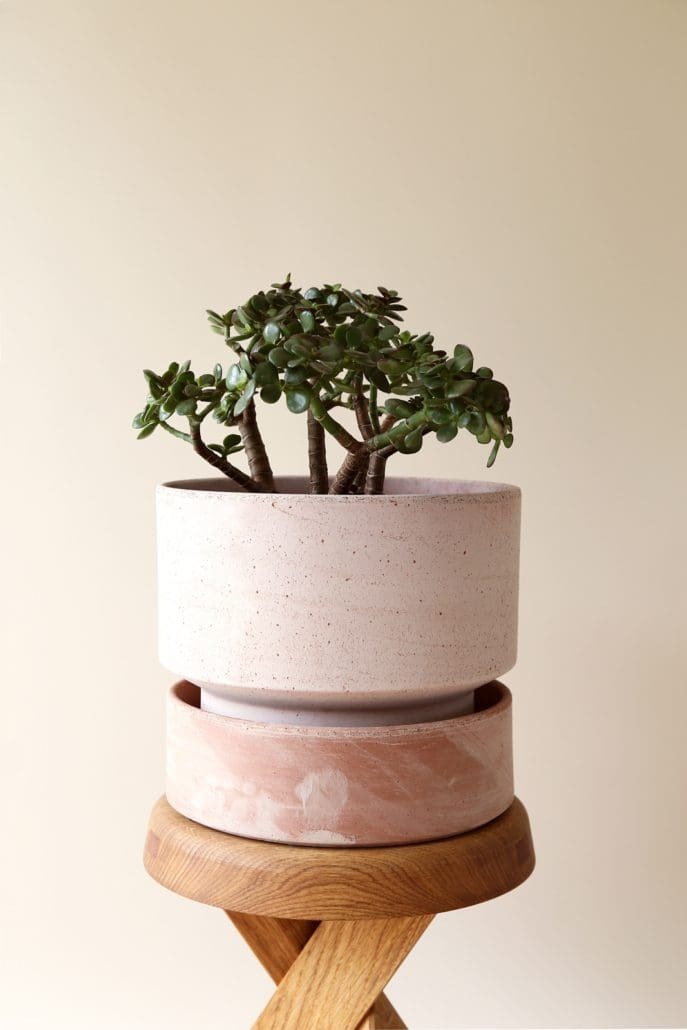 Bergs Cylinder Pot