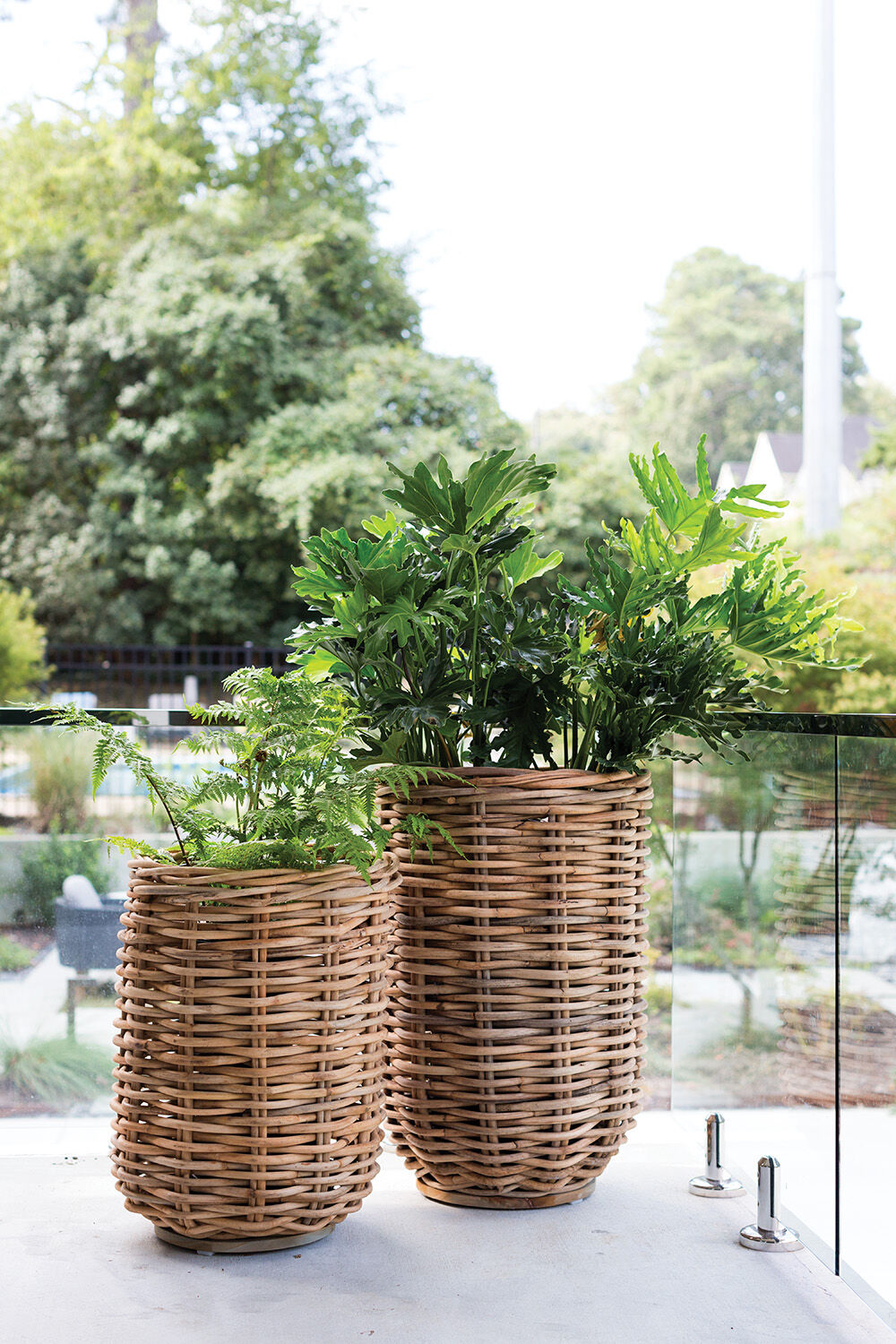 indoor plant basket Kaya Basket- Large