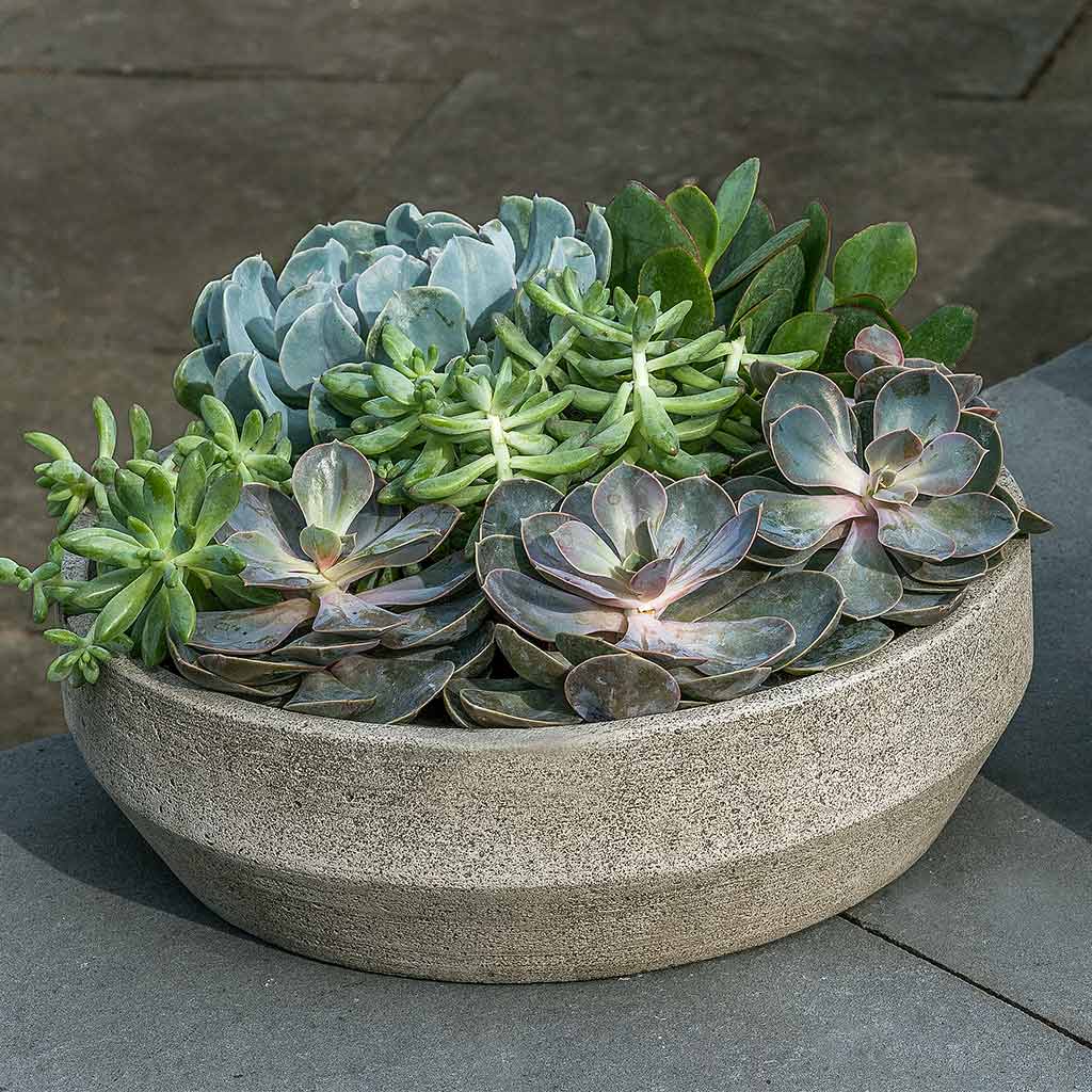 Beveled Terrace Bowl