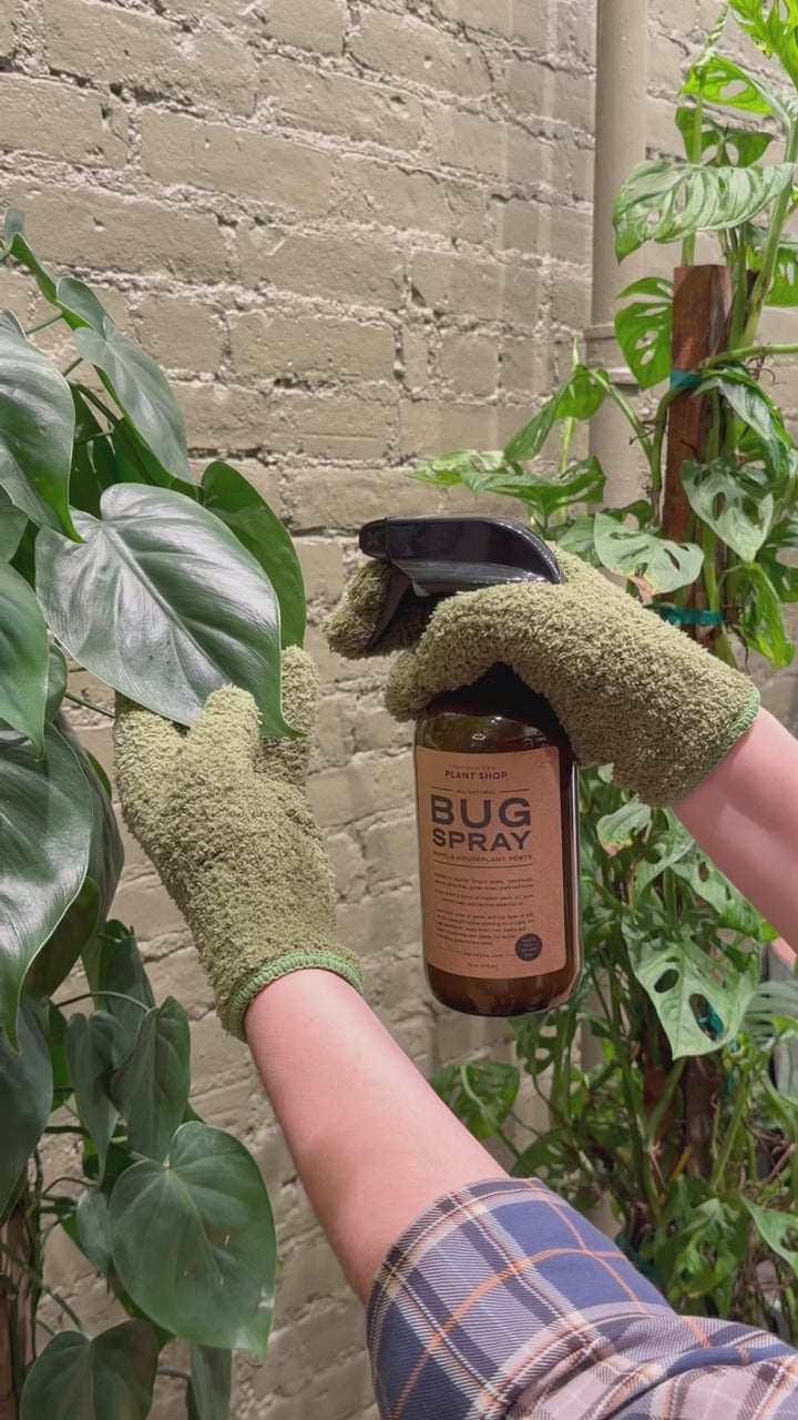 The Old Yew Plant Bug Spray