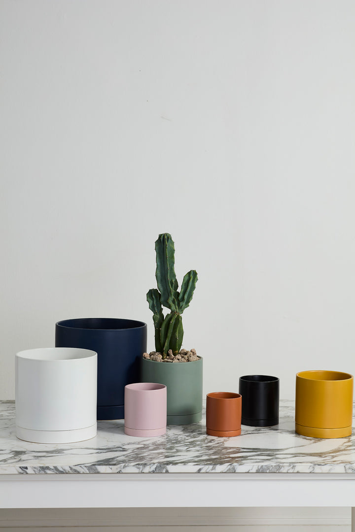 Neutral Pot with Saucer