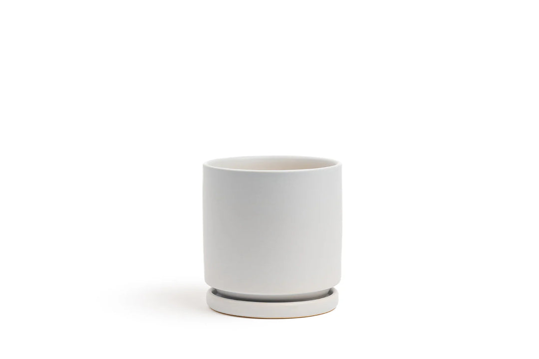 cylinder planter with saucer 8.5" Gemstone Cylinder Pot with Water Saucer White