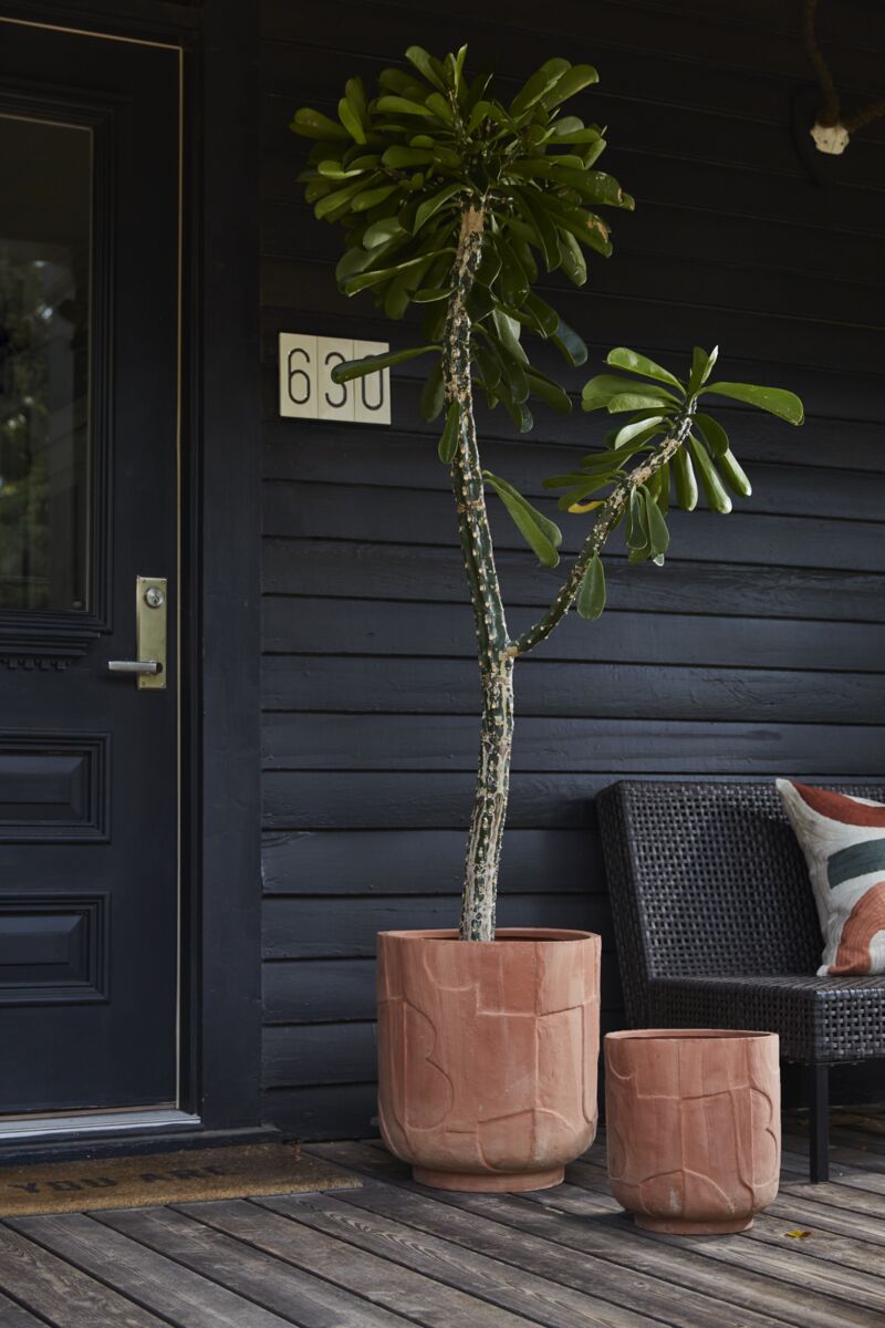 Textured Terra Cotta Pot - Thumbnail 3