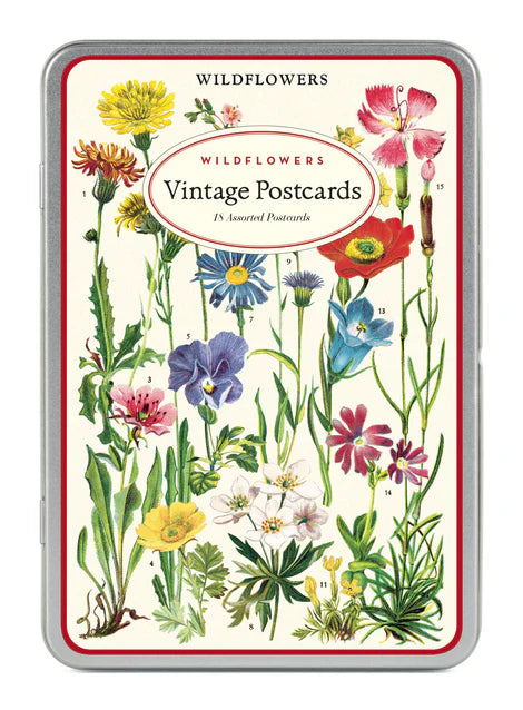 Cavallini Vintage Postcard Set