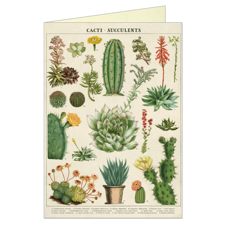 Cavallini Greeting Card