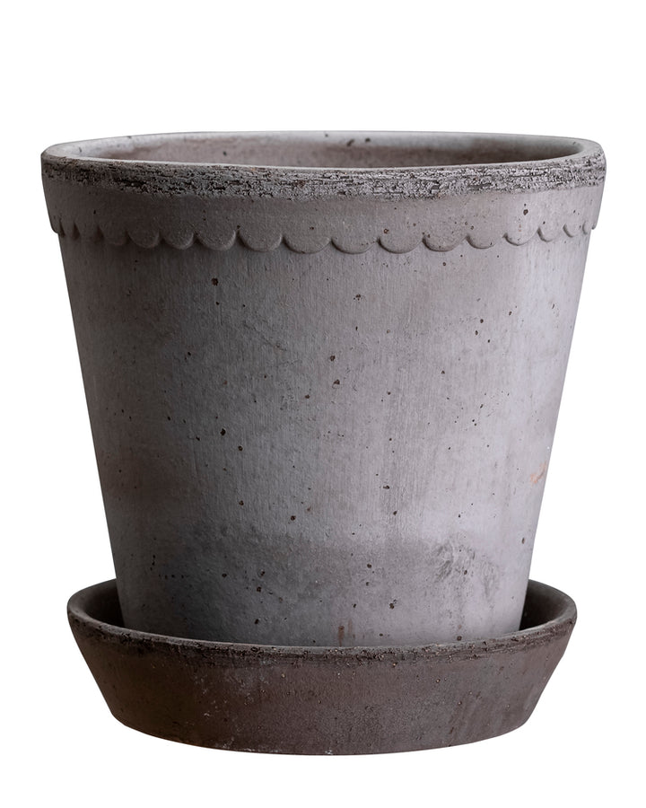 Scallop Pot