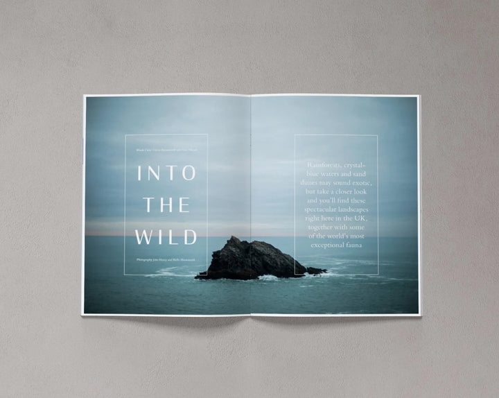 Bloom Magazine – Issue 9