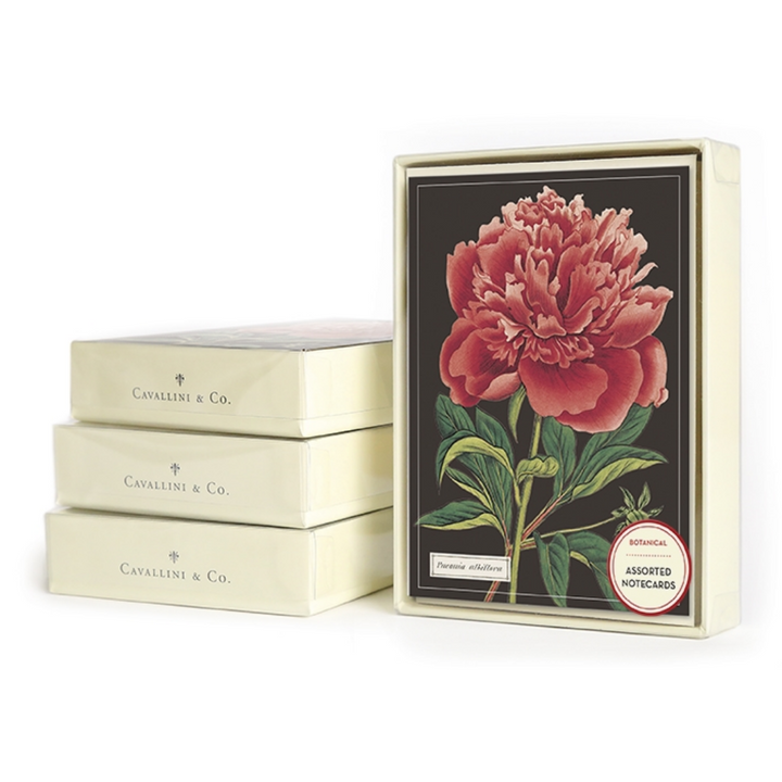 Boxed Notecards