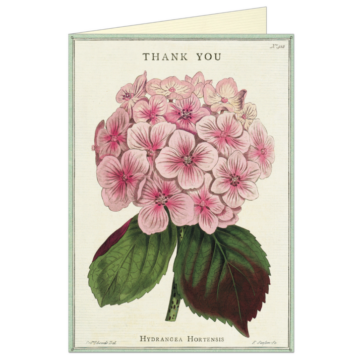 Cavallini Greeting Card