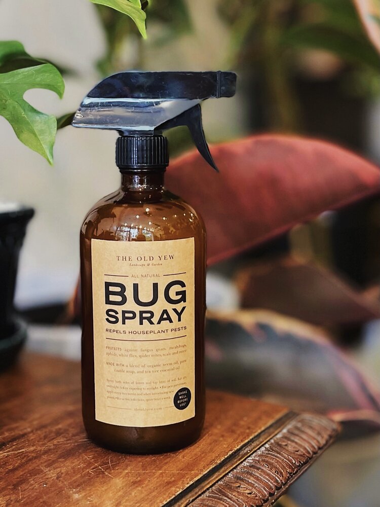 The Old Yew Plant Bug Spray