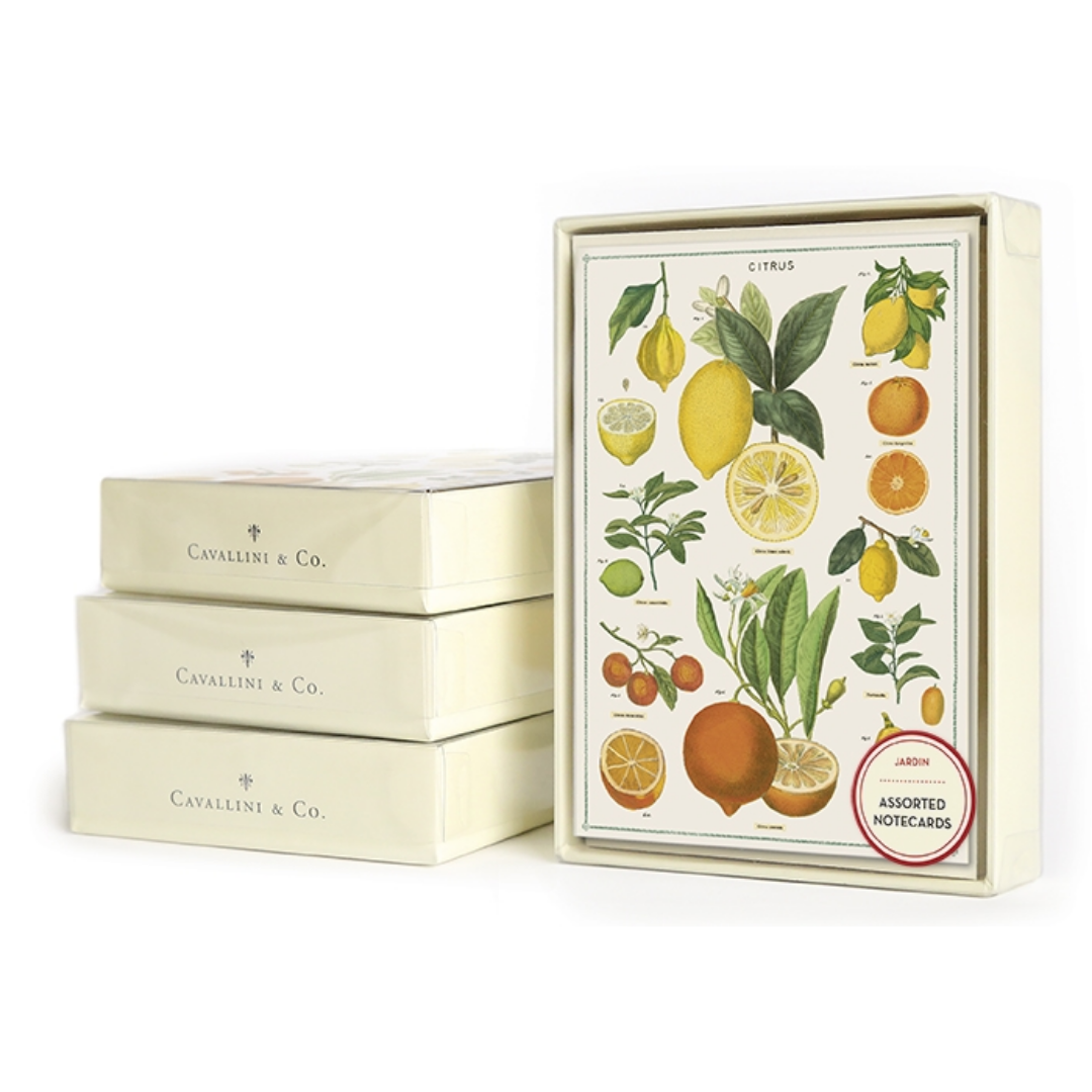Boxed Notecards