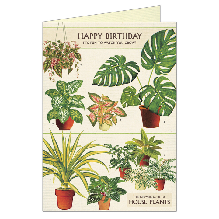 Cavallini Greeting Card